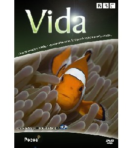 BBC Life - 4 Fish