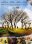 Big Fish