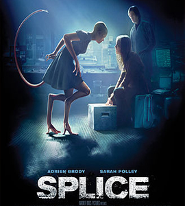 Splice