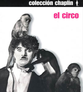 The Circus