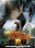 Blu-ray - Walking with Dinosaurs