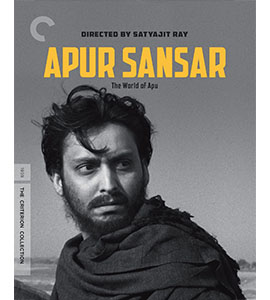 Apur Sansar