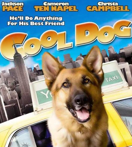 Cool Dog